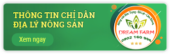 ThongTinChiDan